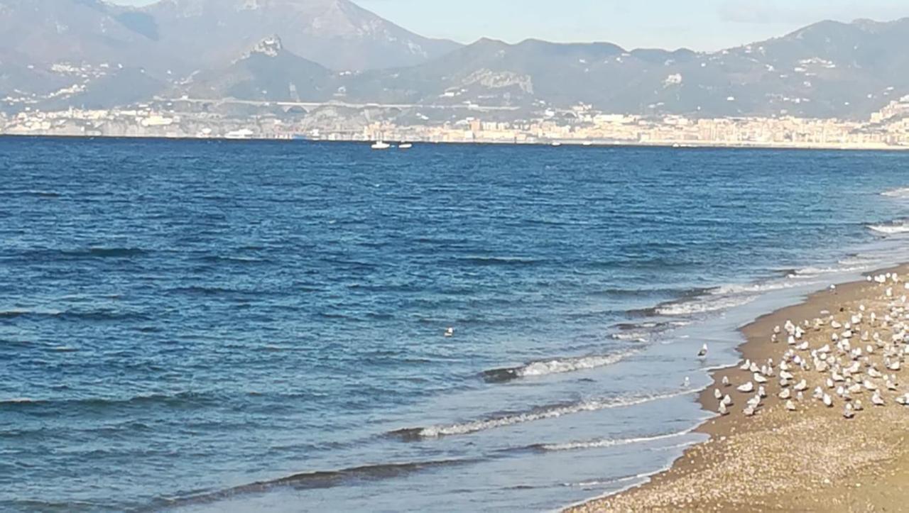Hotel Calypso Pontecagnano Dış mekan fotoğraf